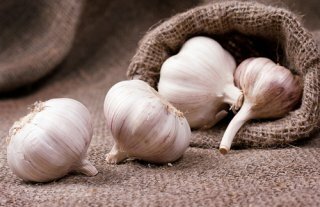 2012-11-14-garlic
