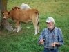 Bob Talks About the Cows