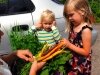 Kids Love our Rainbow Carrots